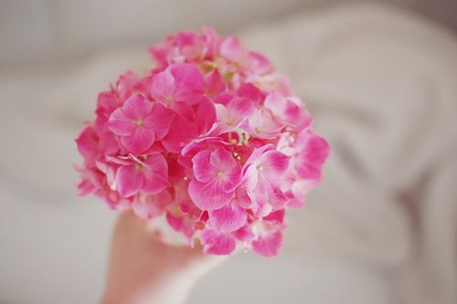 ��ʱ����ƽ��������������ȥ (2)