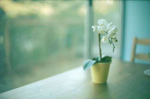 ��ʱ����ƽ��������������ȥ (4)