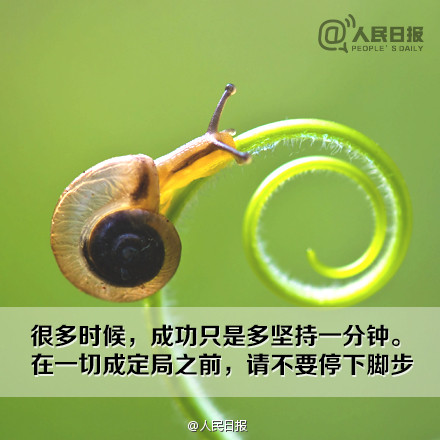 9�仰�͸��ڴ��ɹ����� (6)