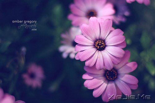 ��Ҫ������ң�ֻ�󰲰����� (6)