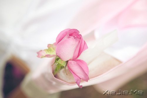 只要你在走,总会看到进步 (7)