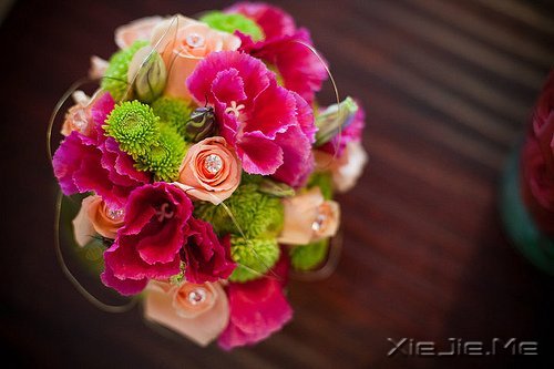 ���㶮�ã�������ϧ (3)