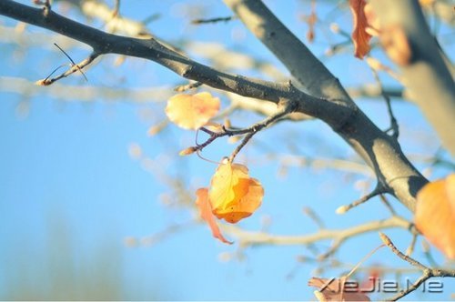 ���죬���ǿ��ƣ����ǿ��� (5)