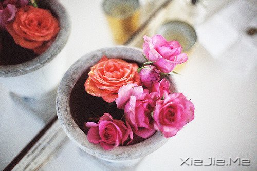 �Ҳ��³��󣬶�����������ȥ (2)