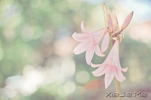 ˽���ɣ�����һ���� (3)