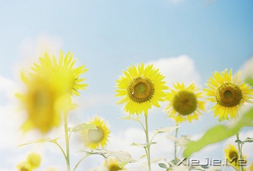 ˽���ɣ�����һ���� (7)