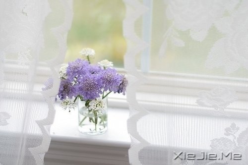 ֻ��֪��ж�������Ц������ (8)