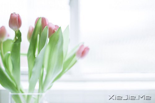 �����������ܿ�����ʵ���Լ� (2)