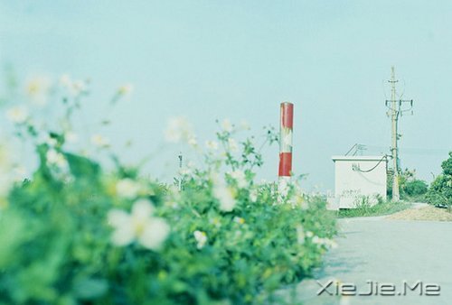 当下的付出,是明日的花开 (9)