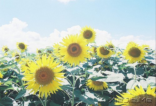 ��Щ�£�ЦЦ���ܹ�ȥ (9)