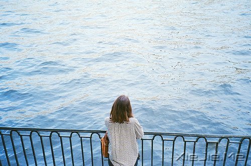 守着时光的静好,我只管拈花微笑 (8)