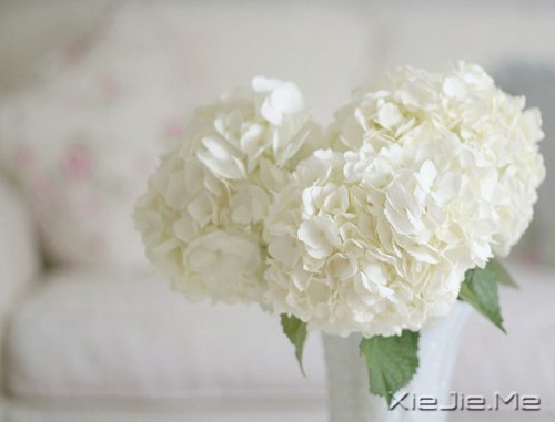 找一个属于自己的地方,在眼泪中懂得遗忘的伤 (6)