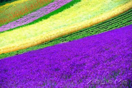 要替别人着想,但为自己而活 (4)