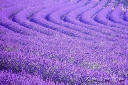 要替别人着想,但为自己而活 (9)