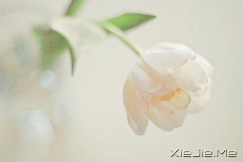 人生有多残酷,你就该有多坚强 (2)