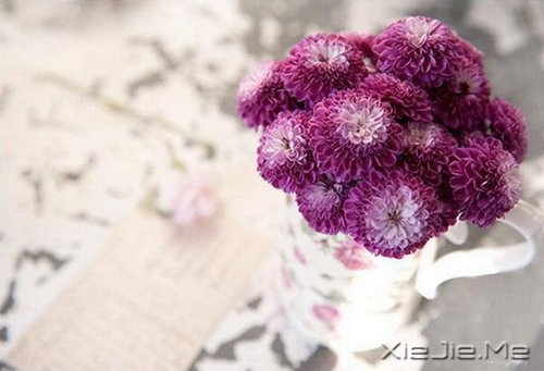 活得平和,才能在心里装下满满的幸福 (3)