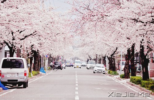 不管成功与否,至少曾经美丽 (1)