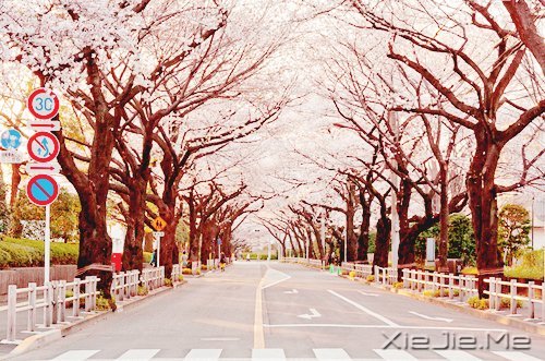 ֻҪ���Ĳ��ң����ͺ��Ѹı���ʲô (3)