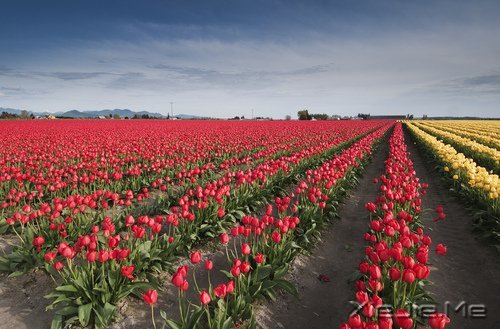 �ڴ�һ������ľ��룬�����������õļ��� (7)