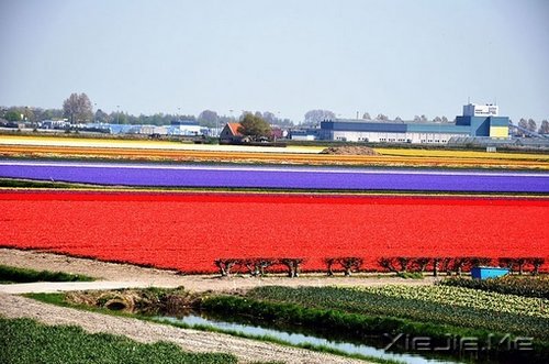 �ڴ�һ������ľ��룬�����������õļ��� (8)