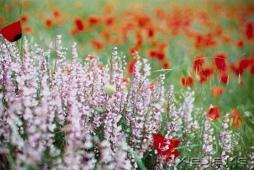 ��Ҫ���ű��˵Ľ�ӡ�����Լ���· (8)