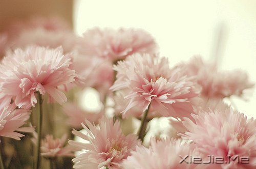 �簲���ǳǳ���������� (2)