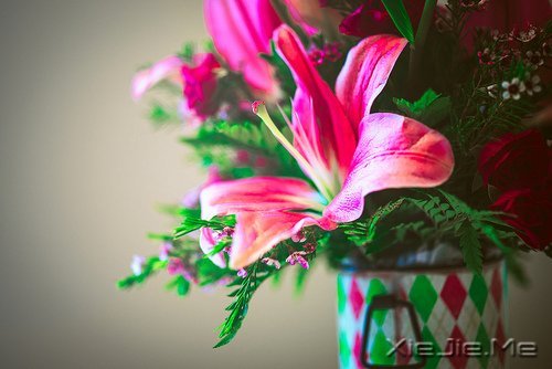 ĬȻ�మ���ž�ϲ�� (2)