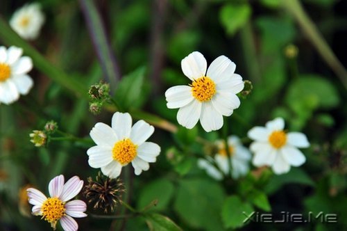 ������һ������ʵ��һ�������� (8)