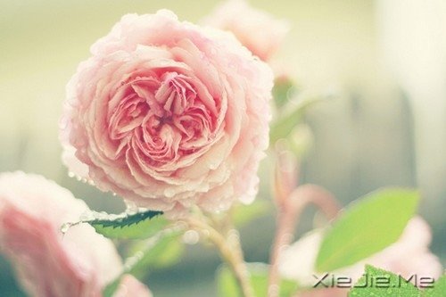 最深的孤独不是一片黑暗,而是你只能看到自己 (8)