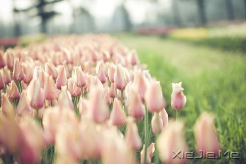 千万不要因为走的太久,而忘记了我们为什么出发 (8)