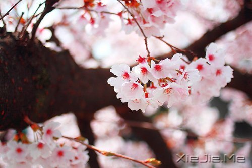 �簲����໰�Ȼ��Ըɾ�һǧ�� (8)