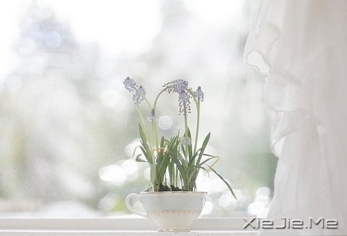 �簲����໰�Ȼ��Ըɾ�һǧ�� (7)