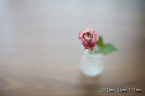 晚安心语:生活得更好,是为了自己 (8)