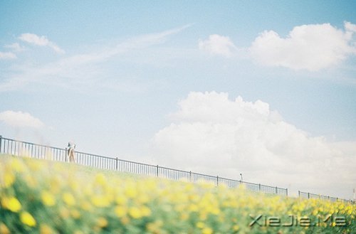 晚安心语:不要因为难过,就忘了散发芳香 (1)