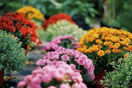 ��������˲������ں�ҹ���������û�й� (10)