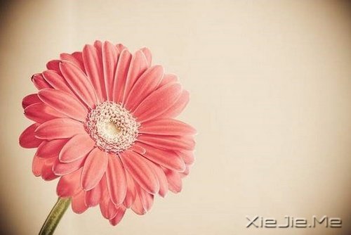 �簲������������ڱ��˵Ĺ���������Լ������� (10)