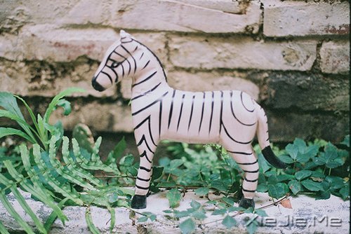 �簲����������ģ�����ʼ�� (3)