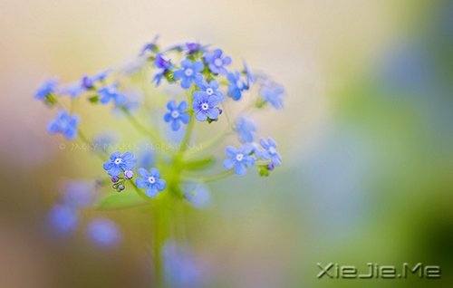 �簲�������ʱҪ������ʧ��ʱҪ���� (2)