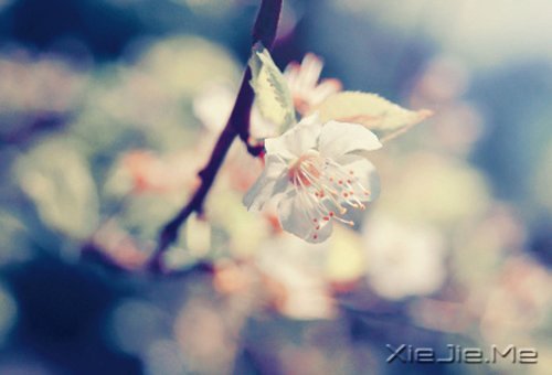 ���ʱ����Ե��ˣ�һ��Ҳ�Ͳ������ (7)