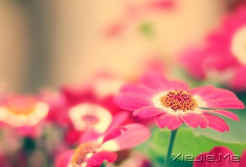 ���ʱ����Ե��ˣ�һ��Ҳ�Ͳ������ (10)