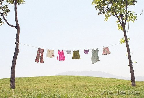 幸福是自己的,永远不要拿别人来做参照 (2)