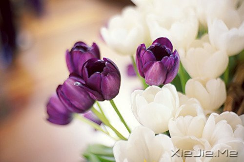 ������������������Ҹ� (6)