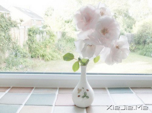 �ʵ��ķ��������������ŵ�ת�� (3)