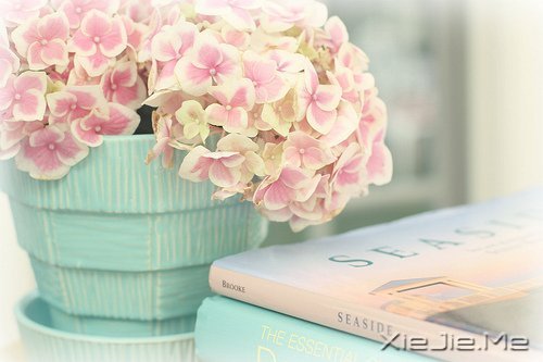 晚安心语:别让人生,输给了心情 (3)