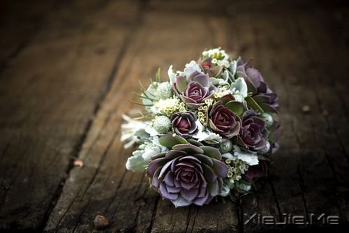 �簲����㿴����̫���ף�������ʧ�����µ����� (3)