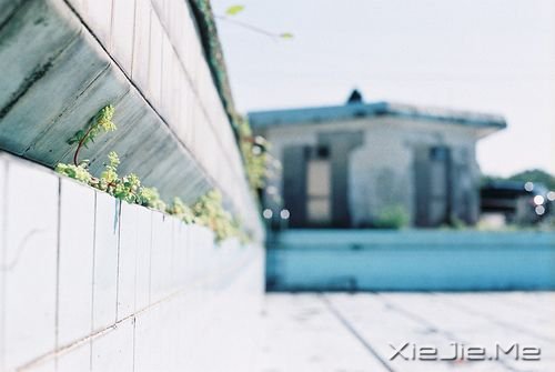 早安心语:淡然,是人生的一种成长 (7)