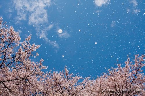 早安心语:生活,一半是回忆,一半是继续 (10)