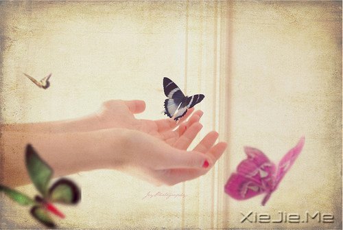 早安心语:不必仰望别人,自己亦是风景 (5)