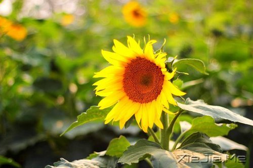 �簲���������Ŭ������Լ�ϲ�����Ǹ��Լ� (5)