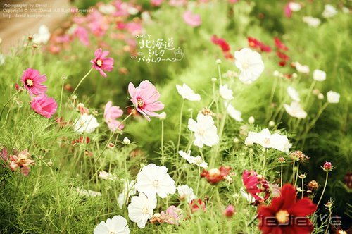 �簲�������������ߣ�Ҳ����һ�����������ͽ (7)